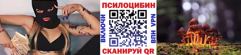 наркошоп  Мелеуз  OMG рабочий сайт  Псилоцибиновые грибы Cubensis 